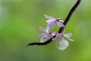 G747ab412dce6f020c39494430d0a2ee6b6c6f0023e09424ccb754b32d2fa1145bc2bea78515d871837b7092d70b9055dcbe3f64002803e4594d49b625b2e0ff7 640